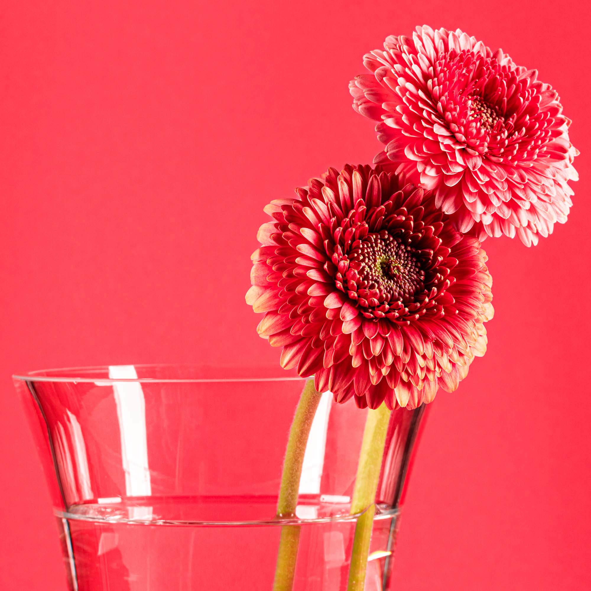 Váza na květiny FLORA